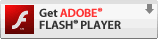 Adobe Flash Download